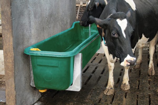 Plastikinis  lovys DAIRY – BAC 400 - Image 7