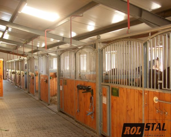 Priekinis žirgų gardo segmentas - Image 10