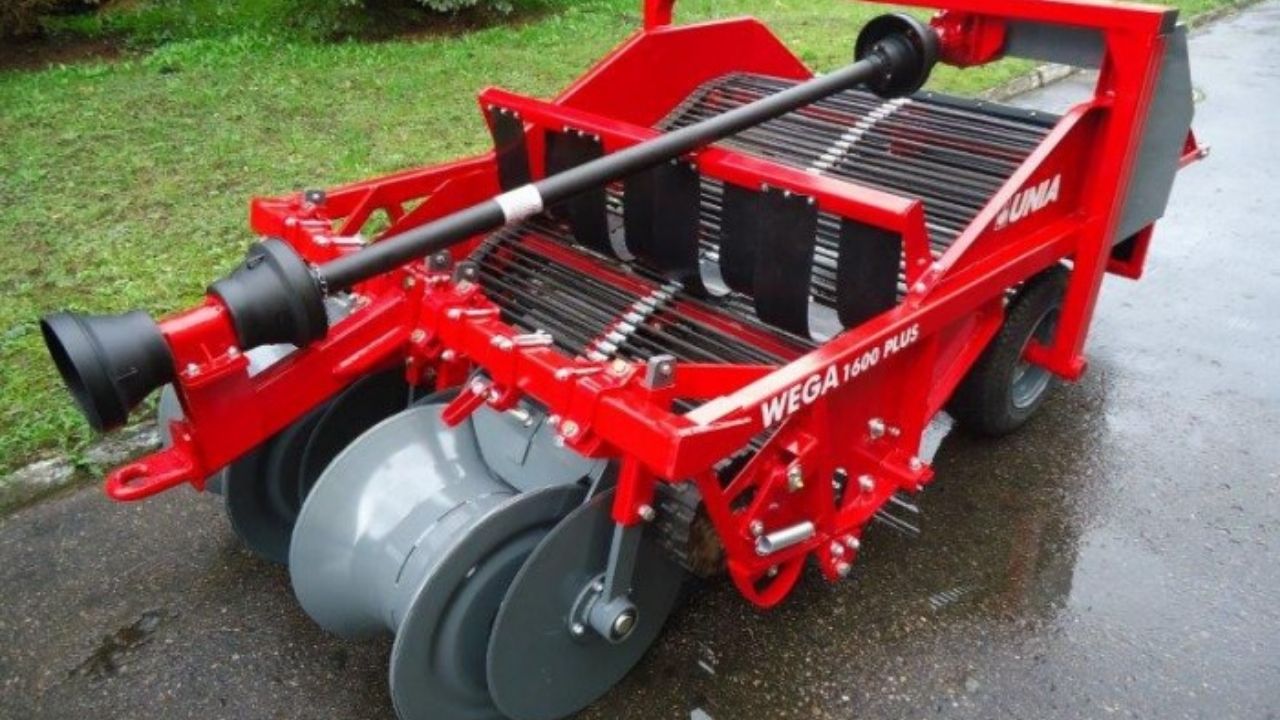 Kasamoji WEGA