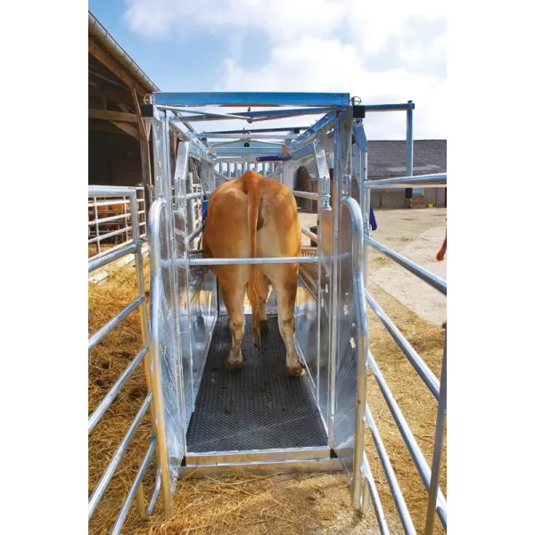 Veterinarinės staklės galvijams LVM/4 vartų PASDELOU - Image 11