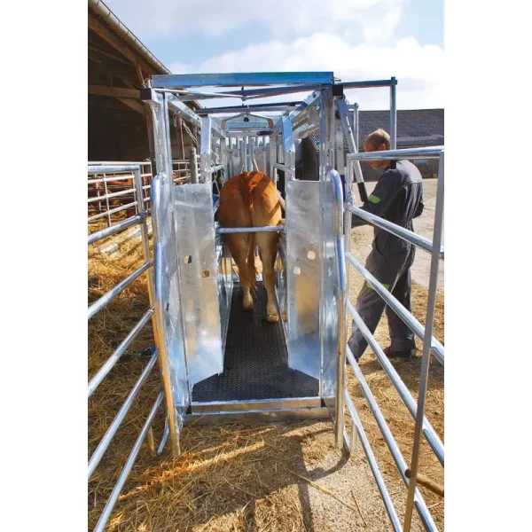 Veterinarinės staklės galvijams LVM/4 vartų PASDELOU - Image 12