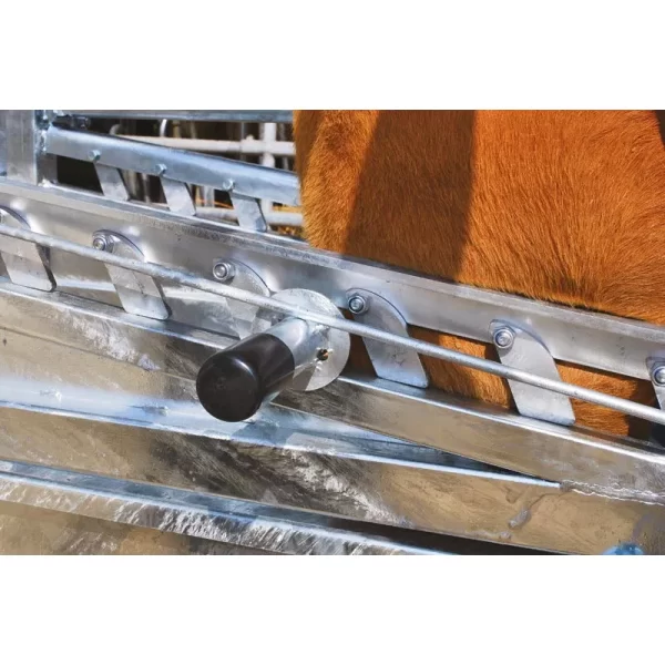 Veterinarinės staklės galvijams LVM/4 vartų PASDELOU - Image 13