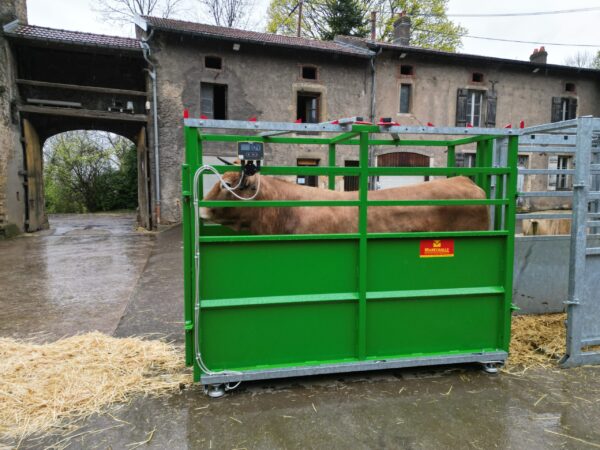 Staklės galvijams su svėrimu MARECHALLE PM 61 - Image 4