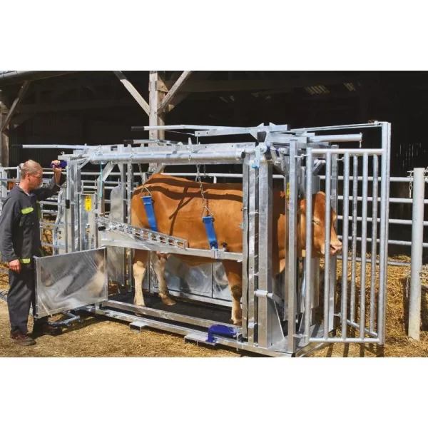Veterinarinės staklės galvijams LVM/4 vartų PASDELOU - Image 7