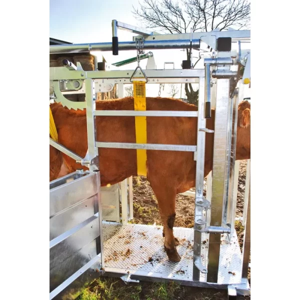 Veterinarinės staklės galvijams LFM PASDELOU - Image 8