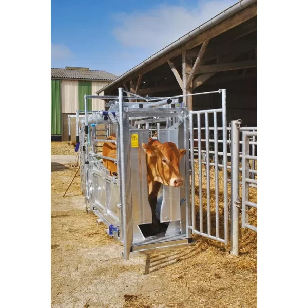 Veterinarinės staklės galvijams LVM/4 vartų PASDELOU - Image 9
