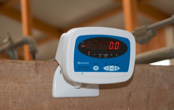 Svėrimo platforma PS - Image 4